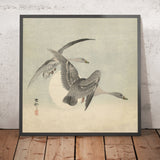 Two Geese in Flight by Ohara Koson, 1900
