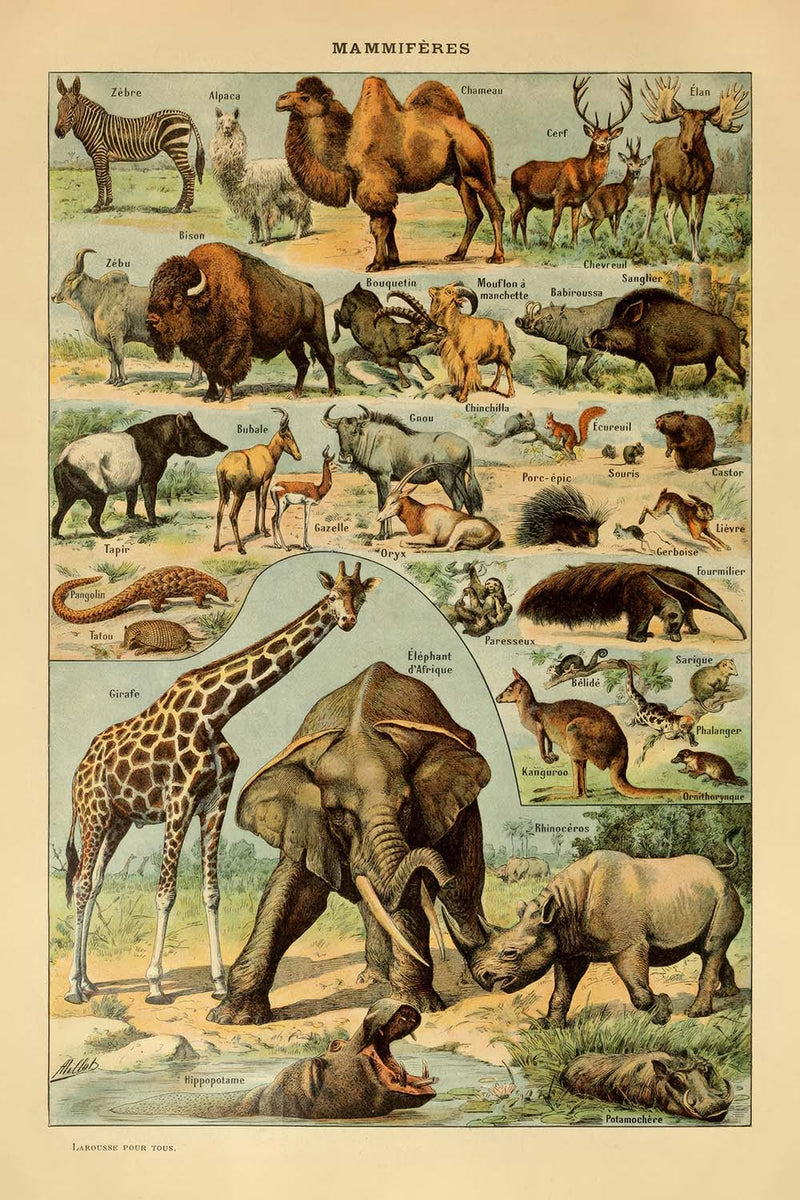 Visualiser thumbnail artwork