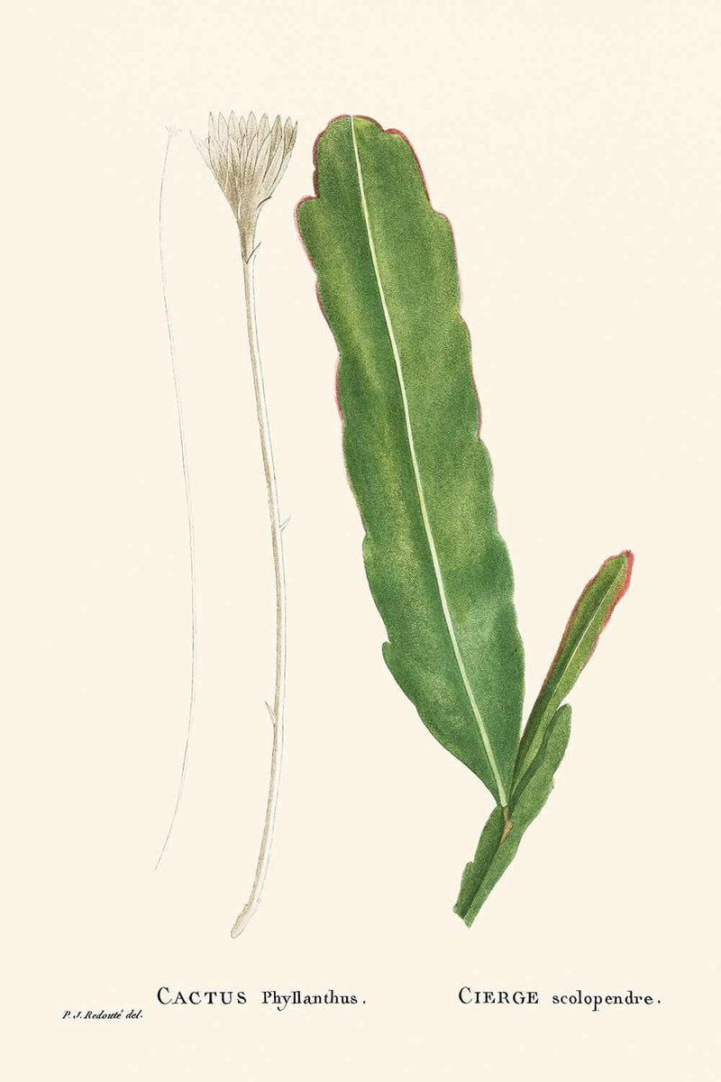 Visualiser thumbnail artwork