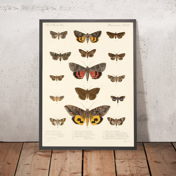 A framed image of 