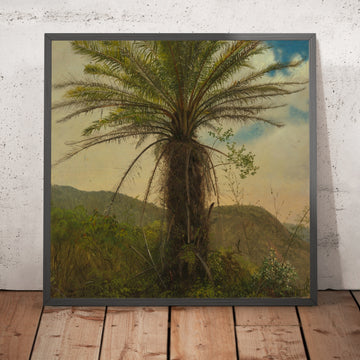 A framed image of 