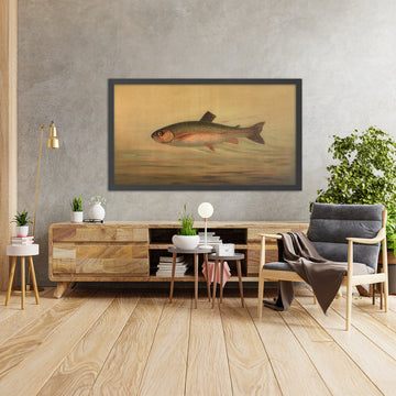 A framed image of 