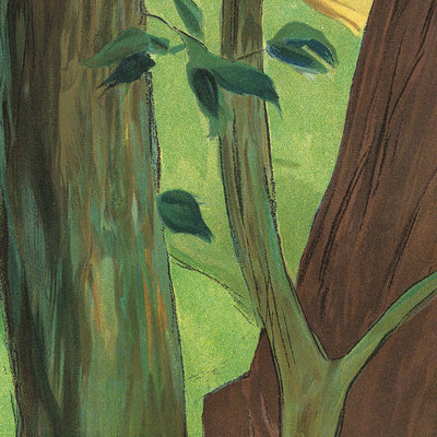 Appenzell Travel Poster by Auguste Viollier, 1904