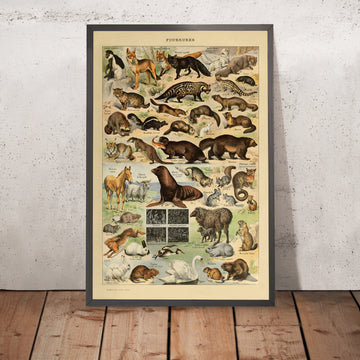 A framed image of Furry Animals by Adolphe Millot, 1890