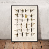 True Flies (Diptera, Plate 07) by Frederick DuCane Godman, 1879