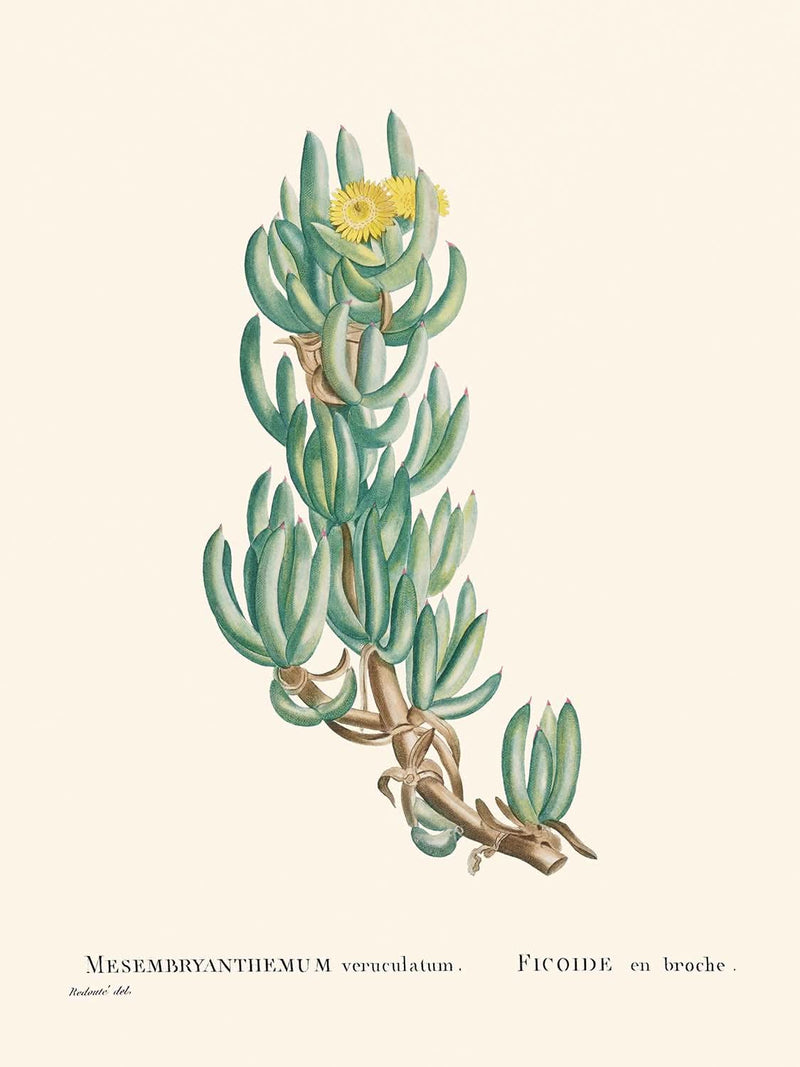 Visualiser thumbnail artwork