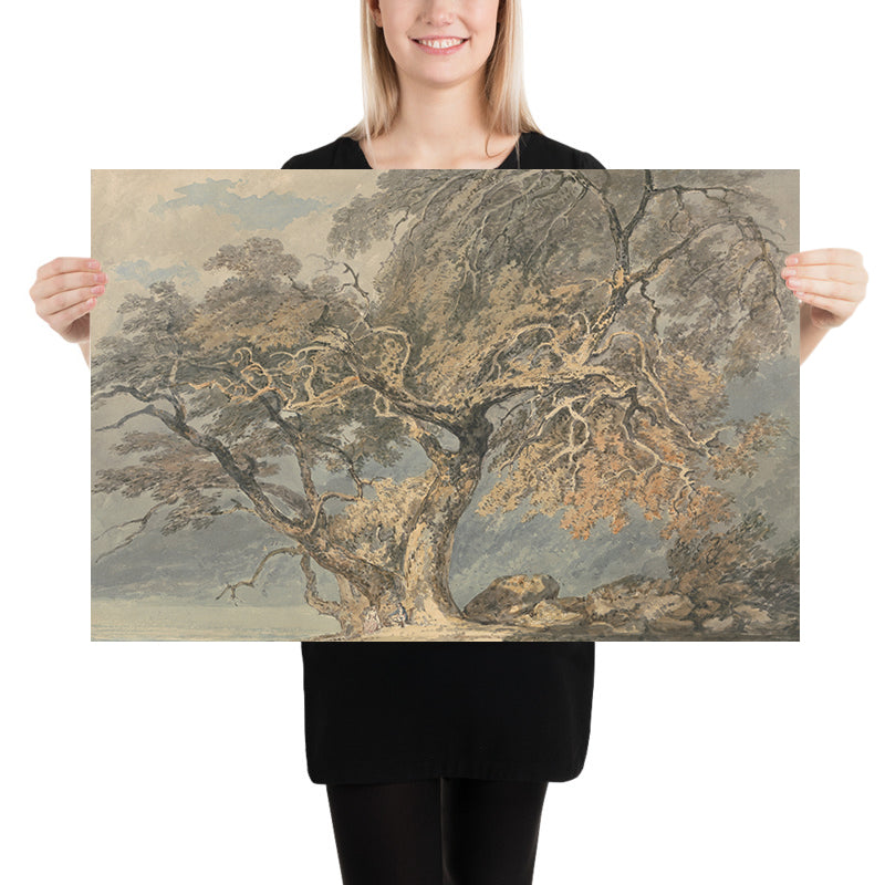 Ein großer Baum von Turner, 1796 