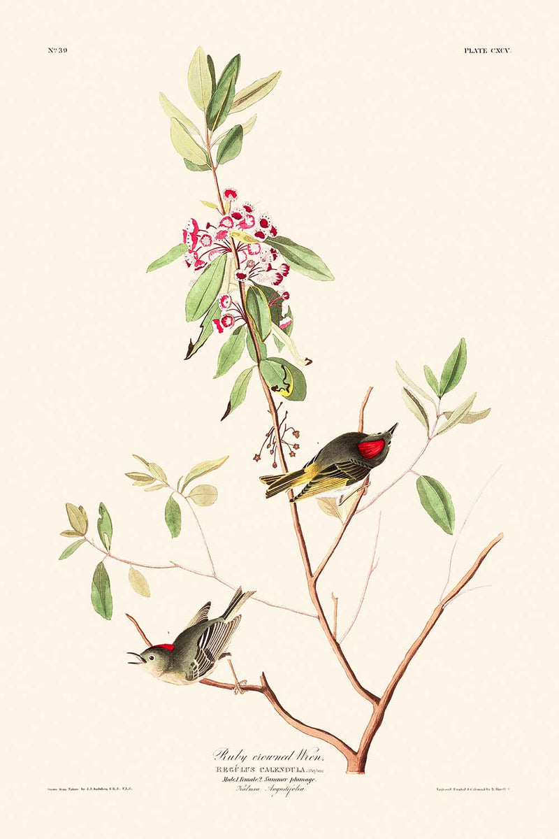 Visualiser thumbnail artwork