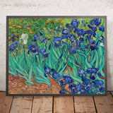 Irises by Vincent van Gogh, 1889