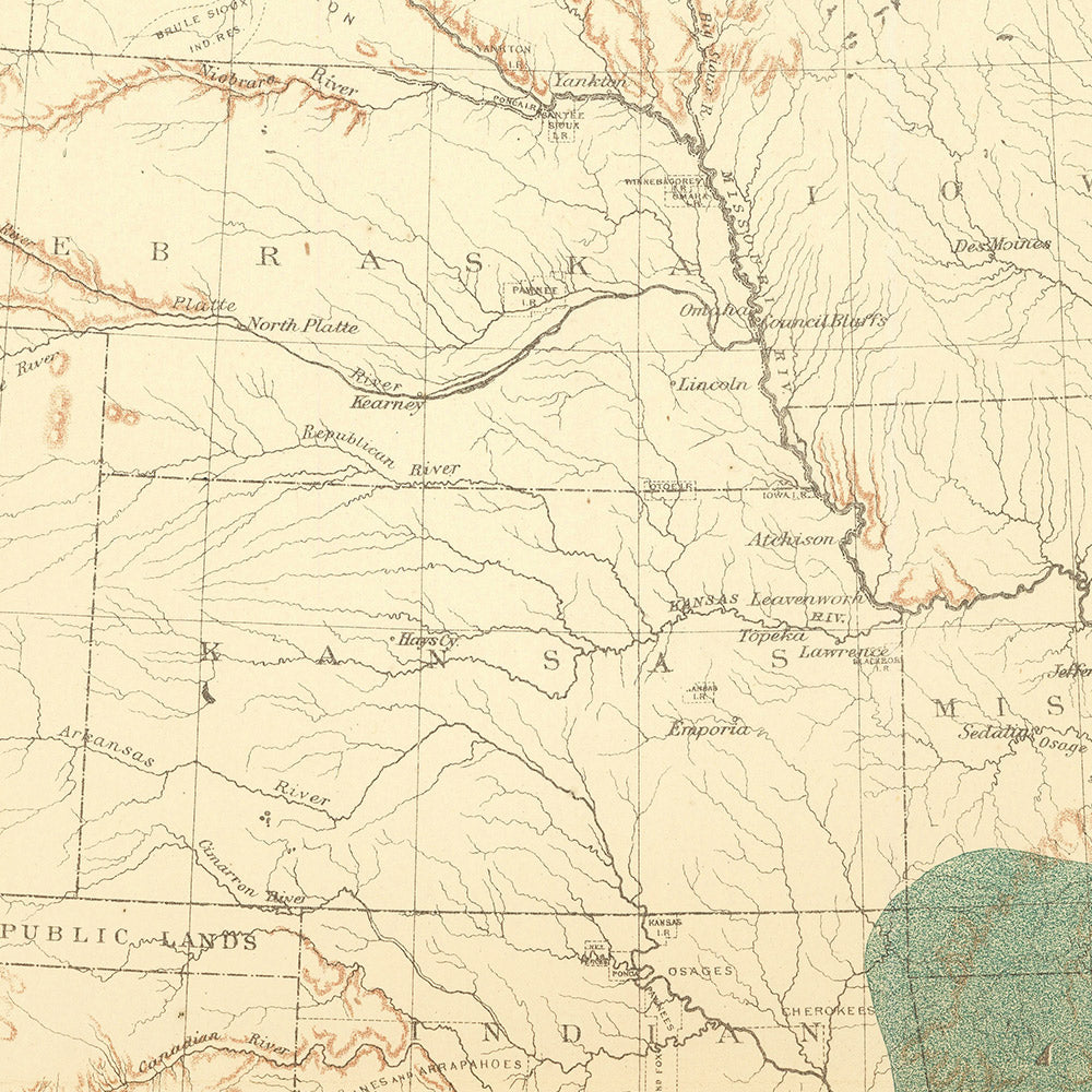 Old Map of Chestnut & Chinquapin Tree Distribution in the USA, 1884