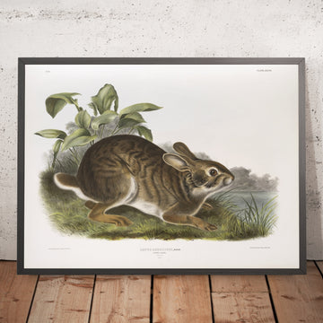 A framed image of 
