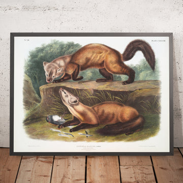 A framed image of 