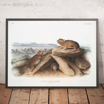 A framed image of 
