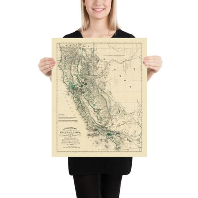 Mapa antiguo de California, 1880: San Francisco, Los Ángeles, Sonoma, viñedos, filoxera