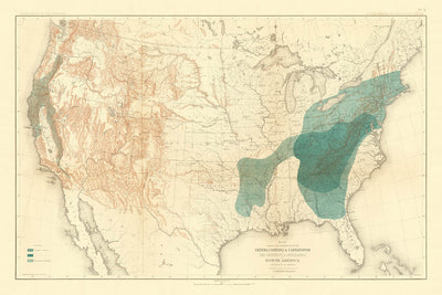 Old Map of Chestnut & Chinquapin Tree Distribution in the USA, 1884