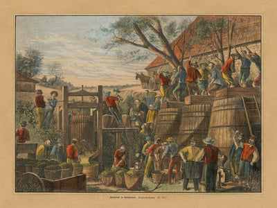 Première image de la fabrication du vin en Californie par Harper's Weekly, 1878