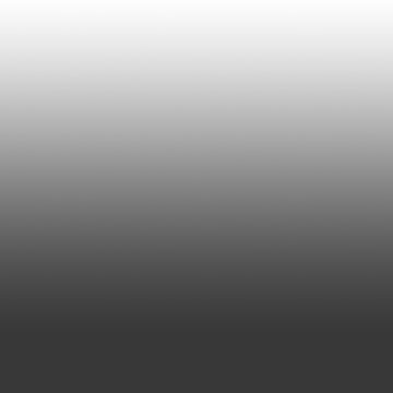 Customisation (Monochrome)