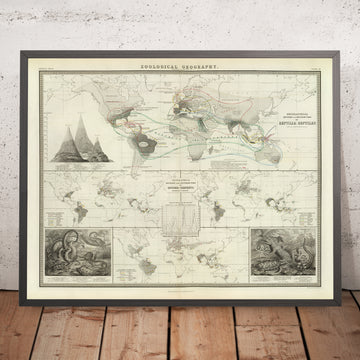 Alte Weltkarte der Verbreitung von Reptilien von Johnston, 1856: Schlangen, Eidechsen und andere Reptilienillustrationen 