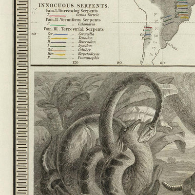 Carte de l'Ancien Monde de la répartition des reptiles par Johnston, 1856 : serpents, lézards et autres illustrations de reptiles