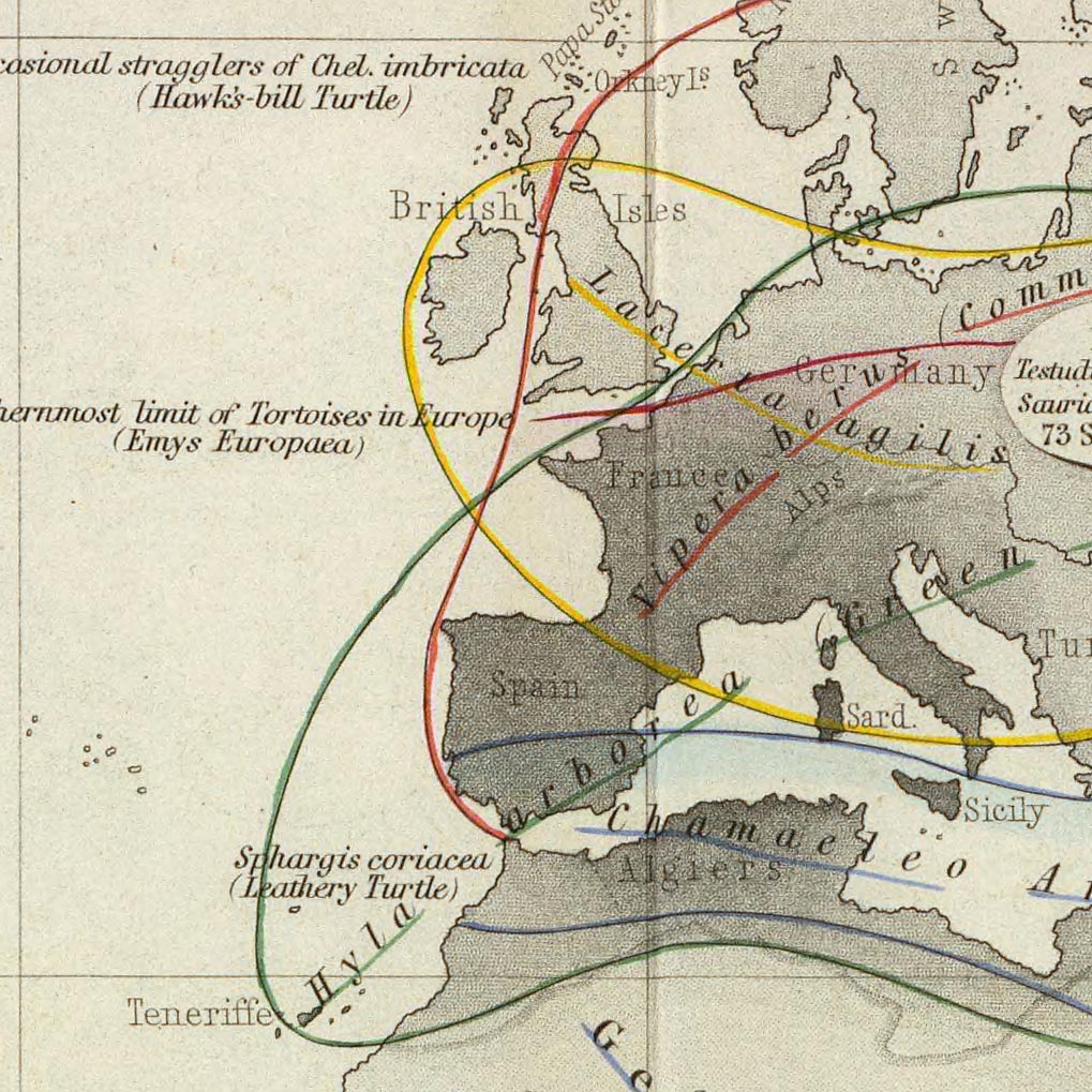 Carte de l'Ancien Monde de la répartition des reptiles par Johnston, 1856 : serpents, lézards et autres illustrations de reptiles