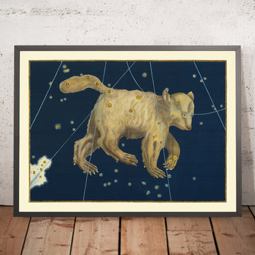 Antigua carta estelar de Ursa Major (Gran Oso) de Johann Bayer, 1603 - Mapa de constelaciones celestiales 