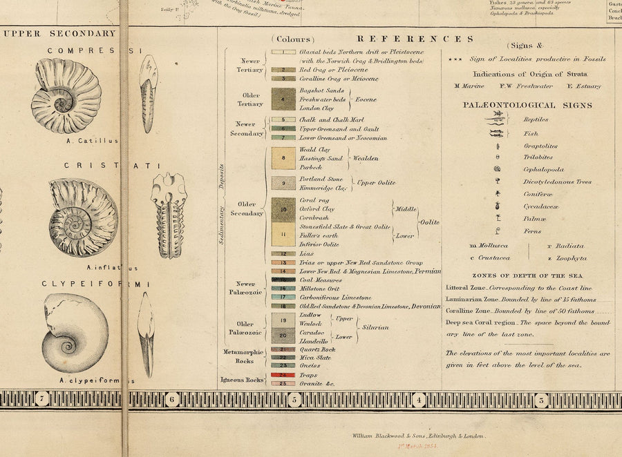 Alte Geologie- und Fossilienkarte der Britischen Inseln, 1854, von A.K. Johnston und Edward Forbes - UK, Schottland, Irland, Paläontologie 