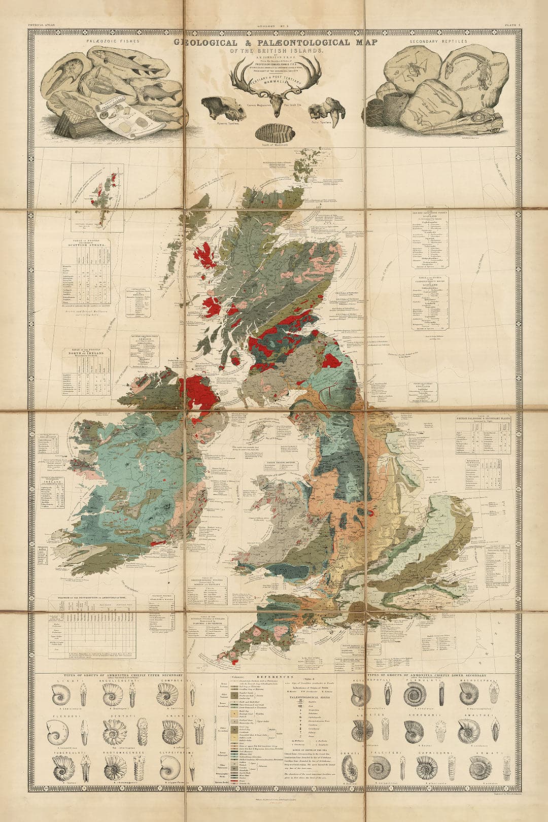 Old Geology & Fossil Map of the British Isles, 1854, by A.K.