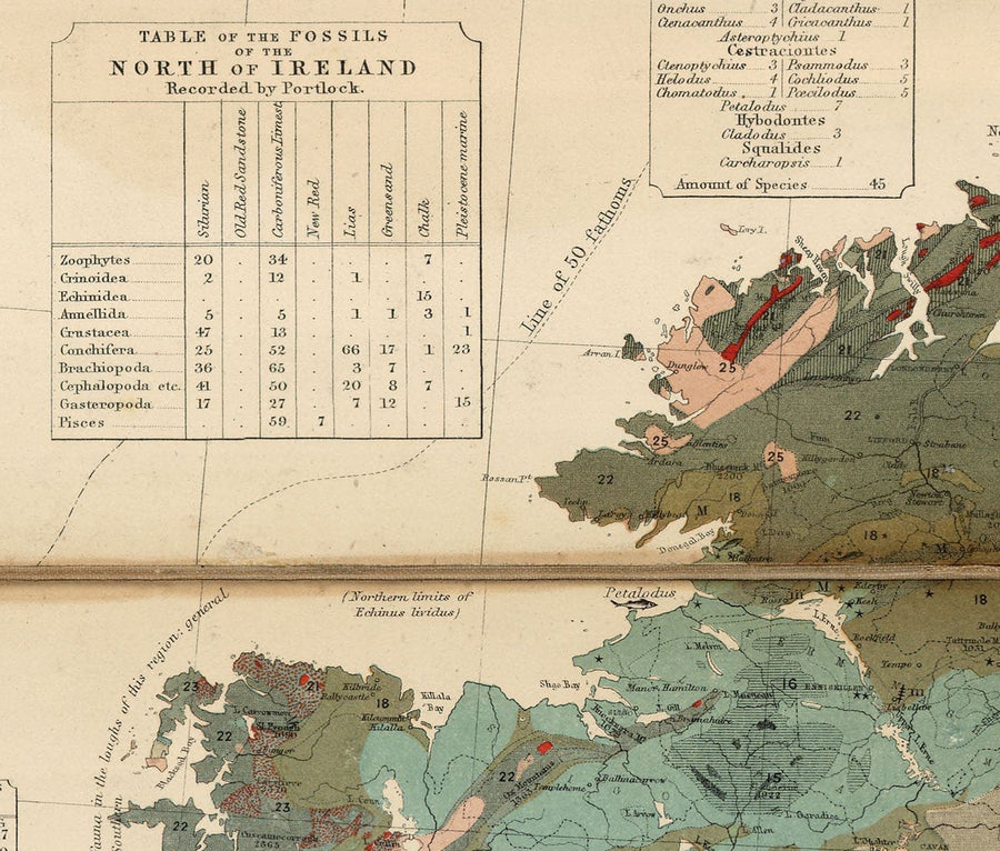 Alte Geologie- und Fossilienkarte der Britischen Inseln, 1854, von A.K. Johnston und Edward Forbes - UK, Schottland, Irland, Paläontologie 