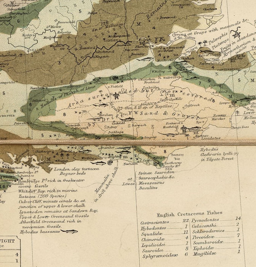 Alte Geologie- und Fossilienkarte der Britischen Inseln, 1854, von A.K. Johnston und Edward Forbes - UK, Schottland, Irland, Paläontologie 