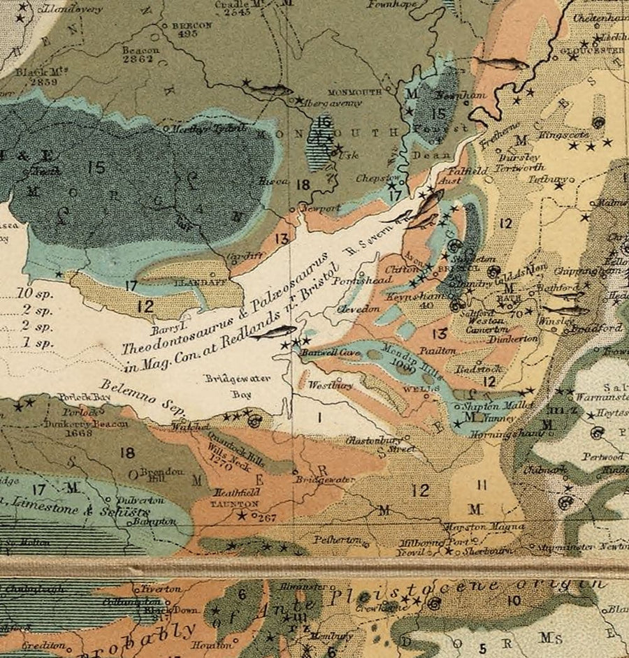 Alte Geologie- und Fossilienkarte der Britischen Inseln, 1854, von A.K. Johnston und Edward Forbes - UK, Schottland, Irland, Paläontologie 