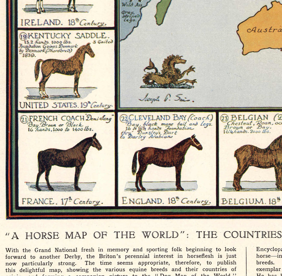 Alte Pferdekarten, 1936 - Alte Weltatlas-Karte mit Ursprüngen der Rassen - Vollblut, Mustang, Shire, Polo-Pony, Araber 