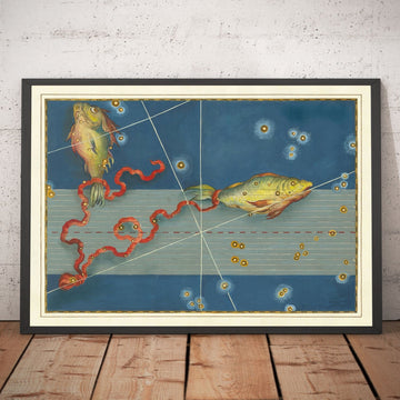 Antiguo mapa estelar de Piscis, 1603 por Johann Bayer - Carta astrológica del zodiaco - El signo del horóscopo pez