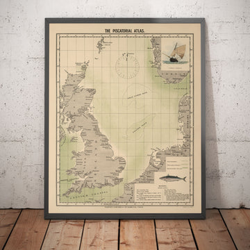 Alter Makrelenfischkarte der Nordsee, 1883 von O.T. Olsen - Makrelenfischerei, Verbreitung, Laichzeit usw. 